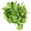 Scent Leaf