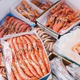 Sea Food