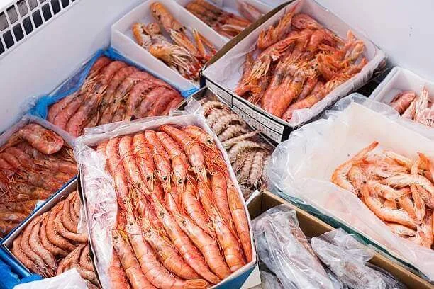 Sea Food