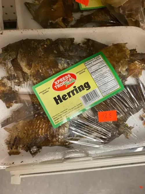 Herring Fish