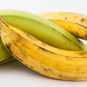 Plantain