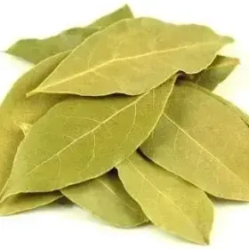 Dried Bay Leaves