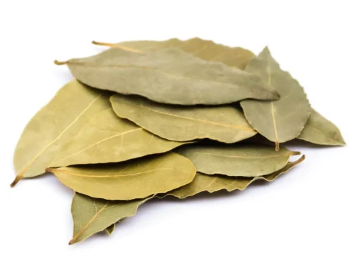 Bay leaf