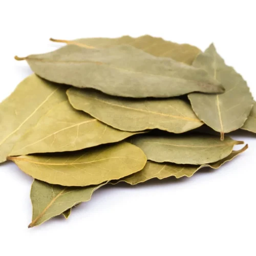 Bay leaf