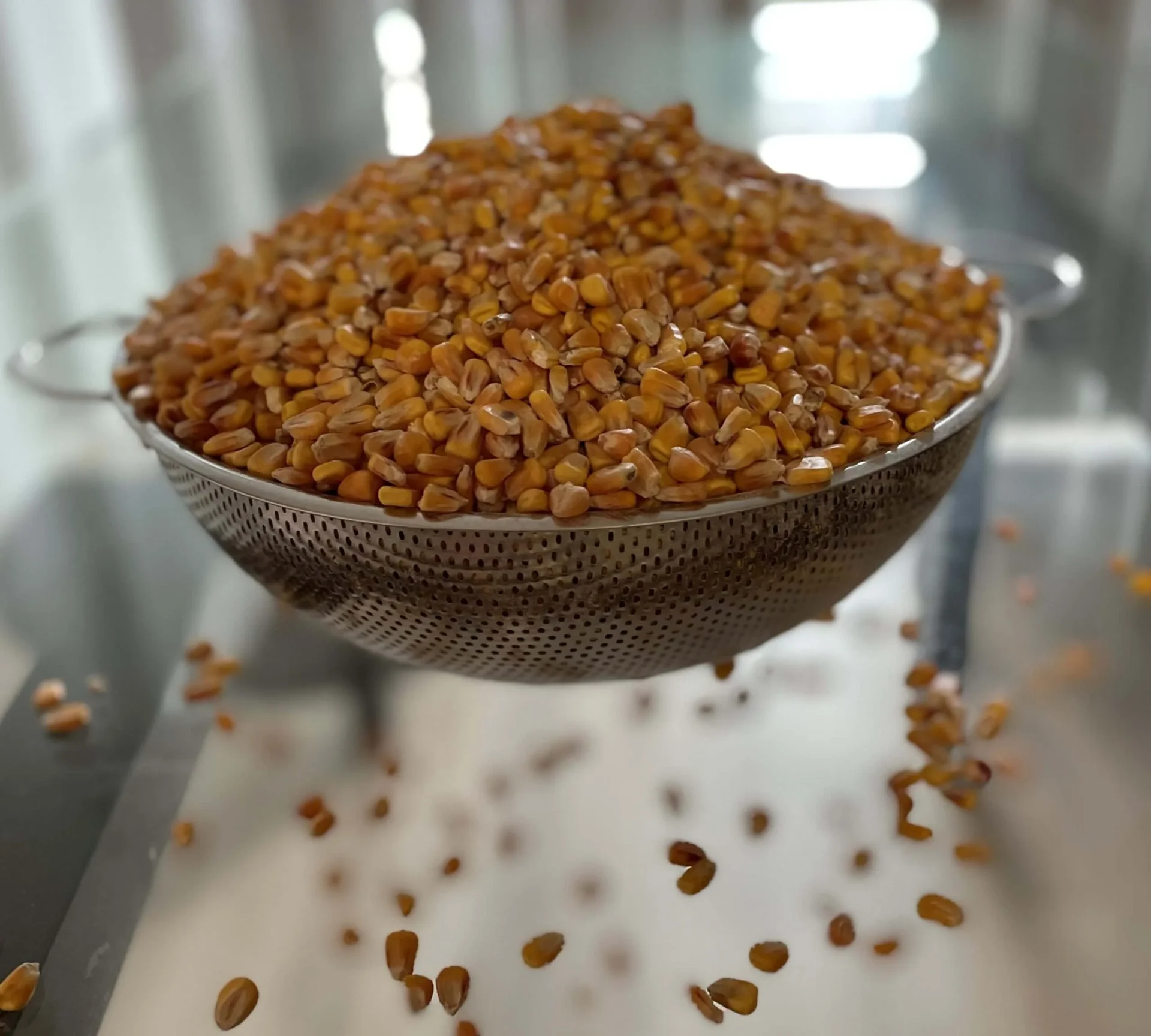 corn kernels