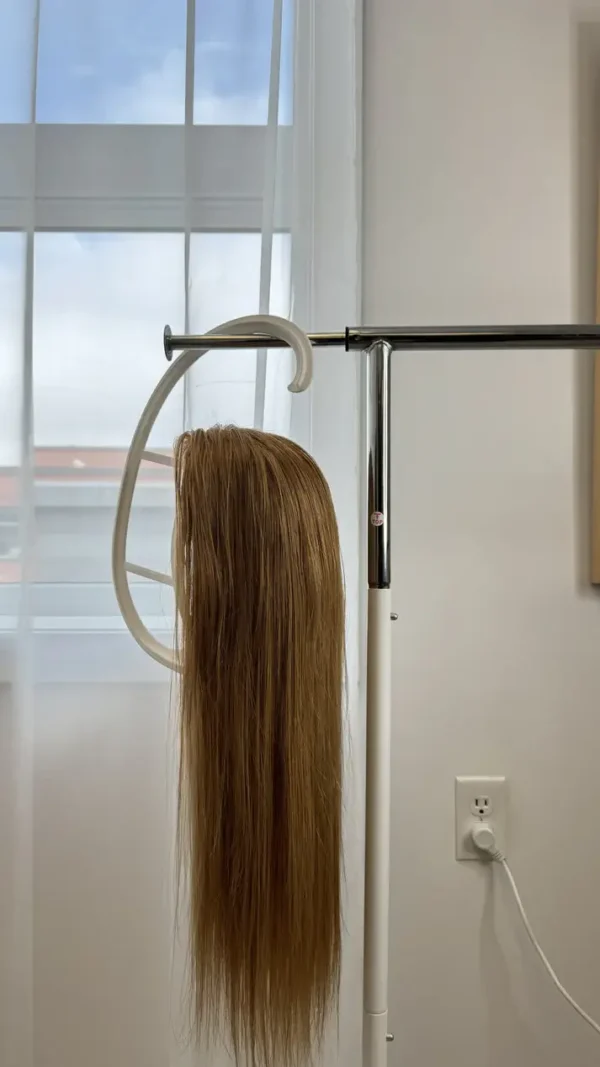 wig hanger