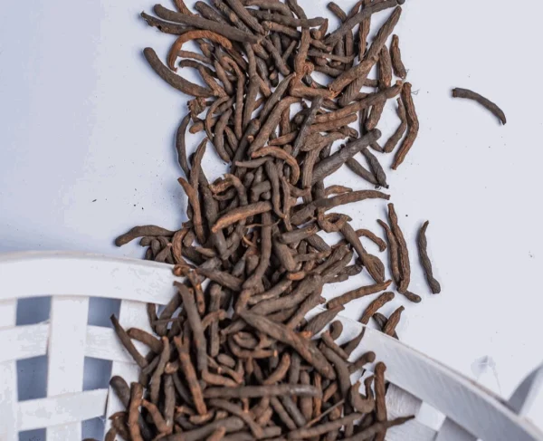 Uda- Grains Of Selim